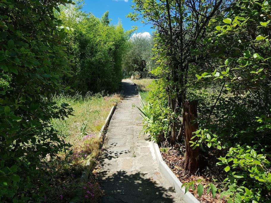 La Bellevue Nimoise Villa Nîmes Dış mekan fotoğraf